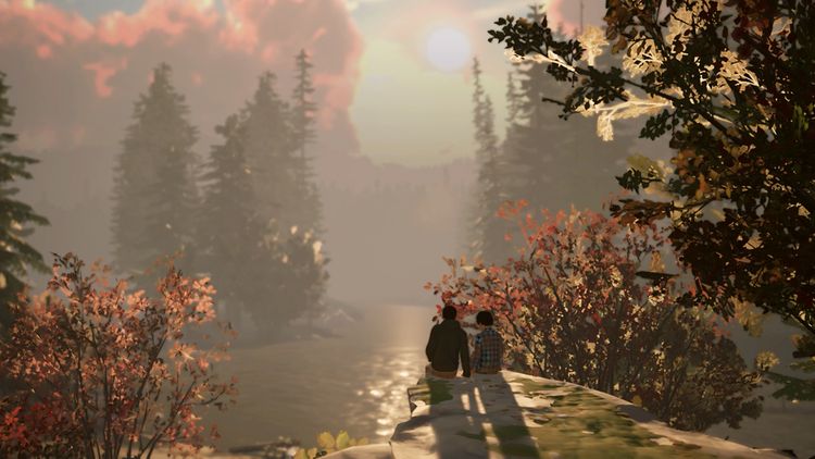 Life is Strange 2 EU Nintendo Switch CD Key