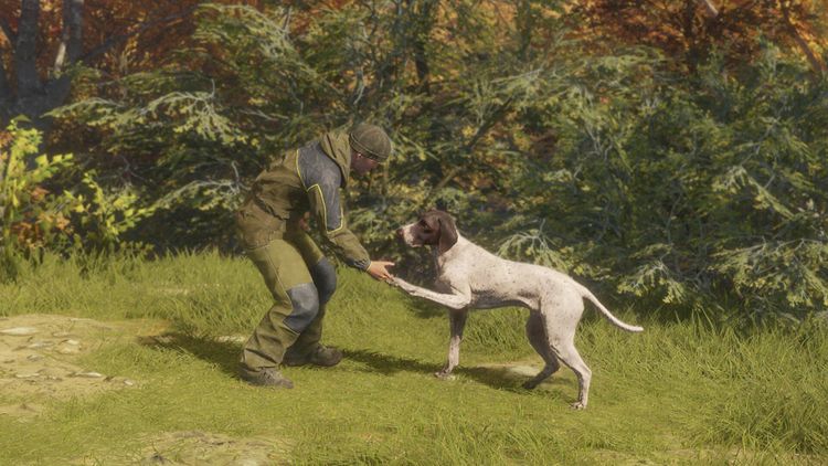 theHunter: Call of the Wild - German Shorthaired Pointer DLC PC Steam CD Key