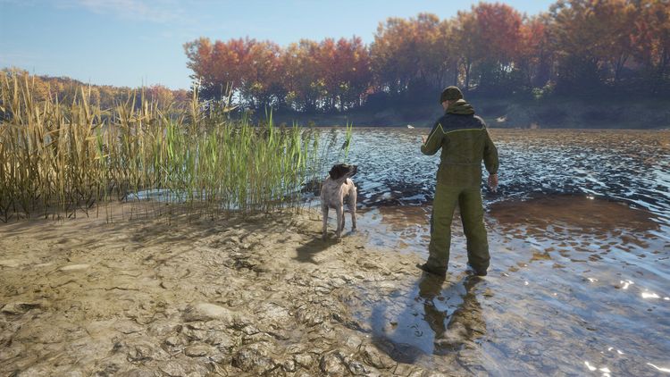 theHunter: Call of the Wild - German Shorthaired Pointer DLC PC Steam CD Key