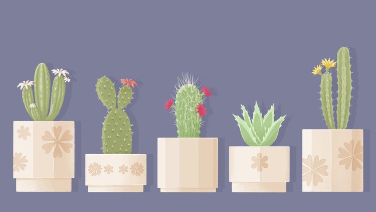 Little to the Left: Seeing Stars DLC PC Steam CD Key