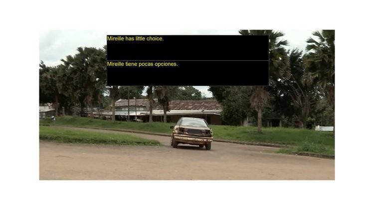 Realtime Screen OCR Translator PC Steam CD Key