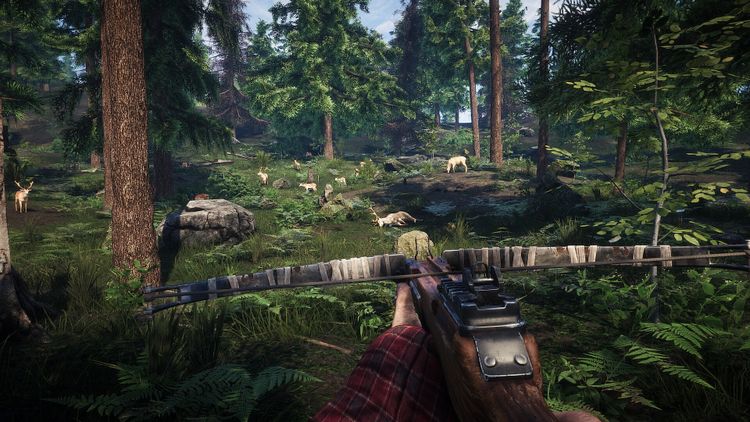 Survive the Nights PC Steam CD Key