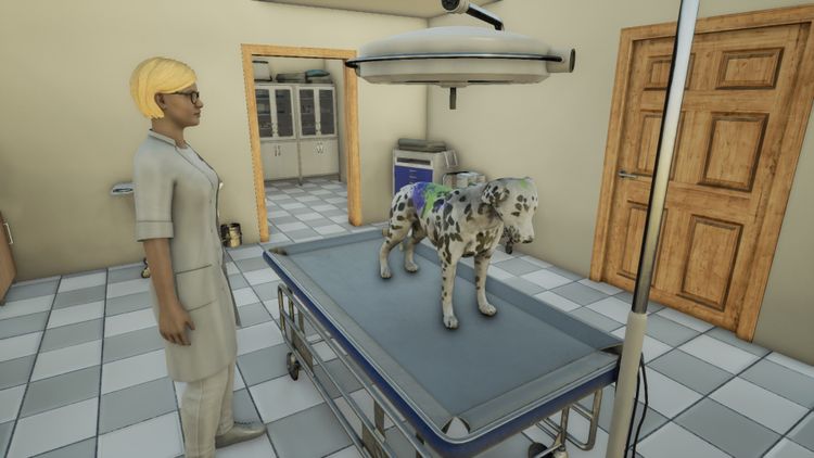 Animal Doctor PC Steam CD Key