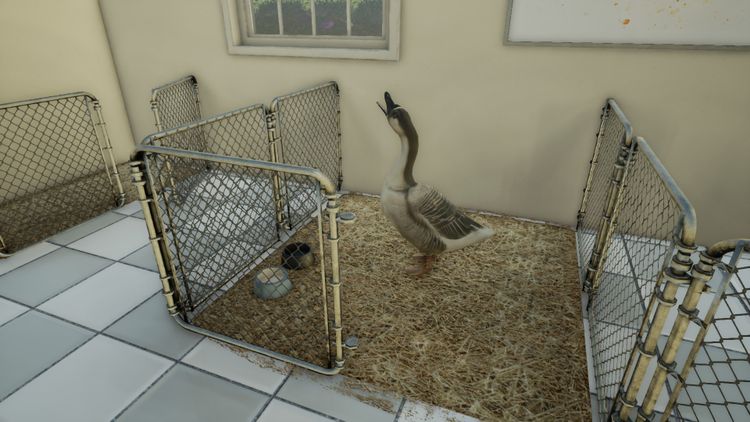 Animal Doctor PC Steam CD Key