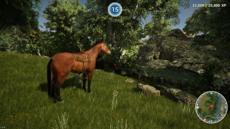 Animal Doctor PC Steam CD Key