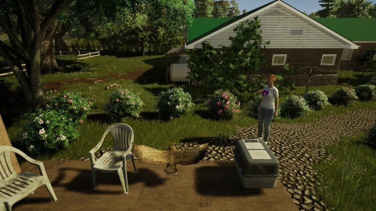 Animal Doctor PC Steam CD Key