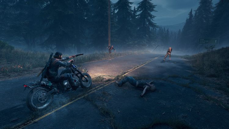 Days Gone PC Steam CD Key