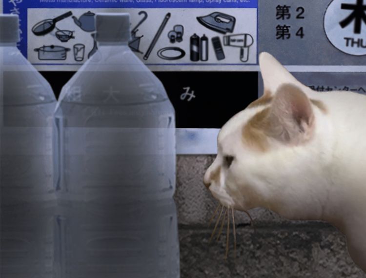 Tsugunohi Steam CD Key