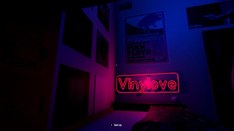 Vinylove Steam CD Key