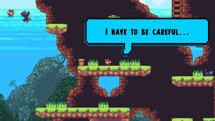 Solo Fox Steam CD Key