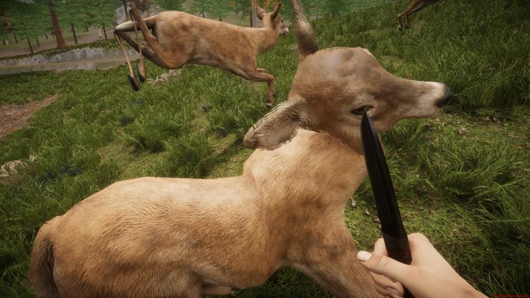 Spy Network Steam CD Key