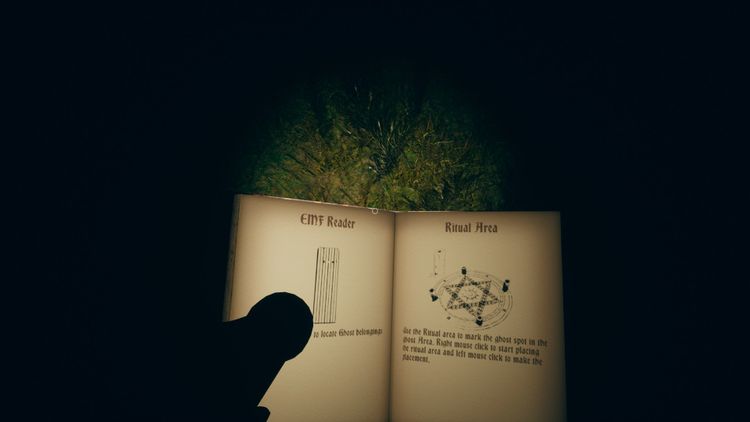 Cursed Exped Steam CD Key