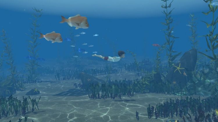 Storm Boy Steam CD Key