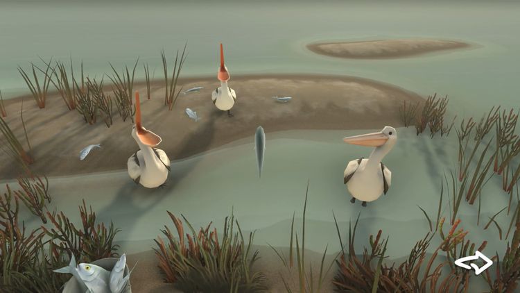 Storm Boy Steam CD Key