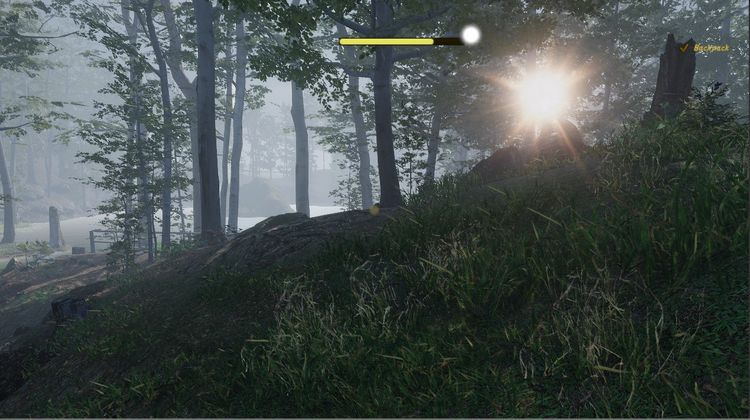 Naturalist Stories Steam CD Key