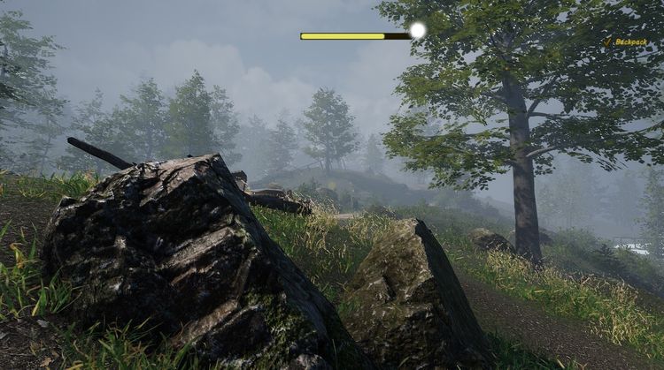 Naturalist Stories Steam CD Key