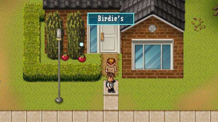 Who Stole My Beard? Steam CD Key