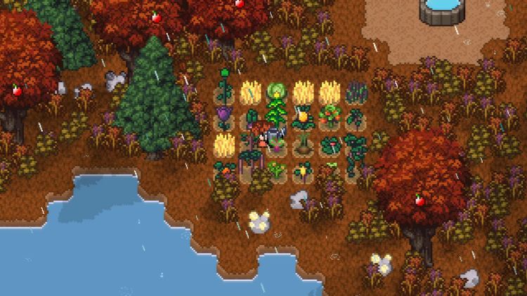 Island Berry Steam CD Key