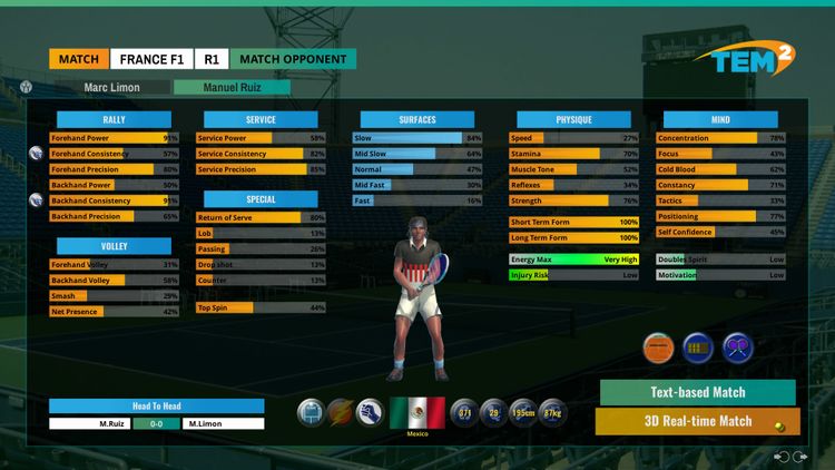 Tennis Elbow Manager 2 Steam CD Key