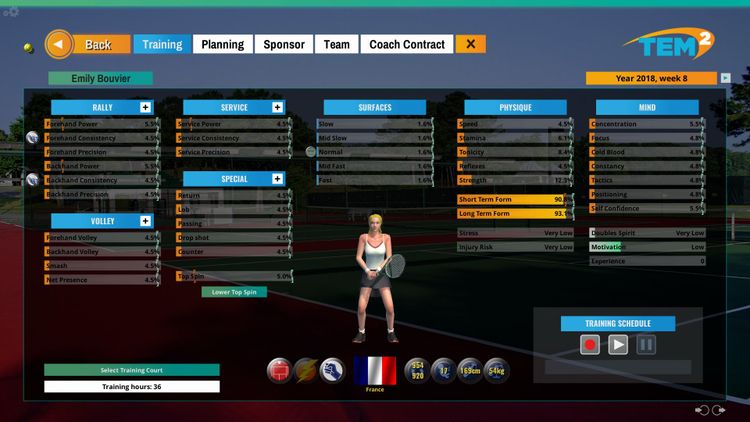 Tennis Elbow Manager 2 Steam CD Key