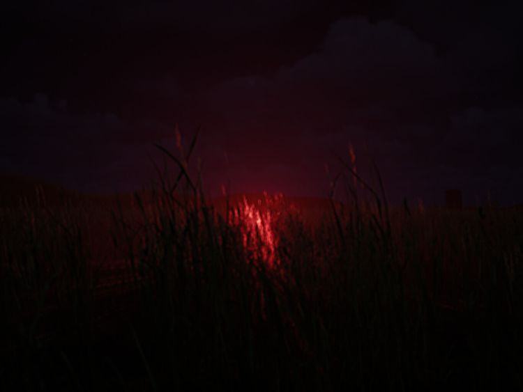 The Backrooms: Lost Tape Steam CD Key