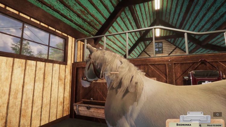 Animal Shelter - Horse Shelter DLC PC Steam CD Key