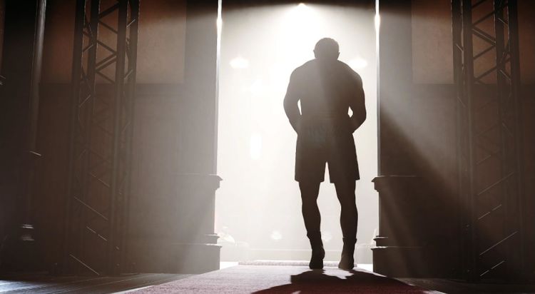 Undisputed PC Steam CD Key