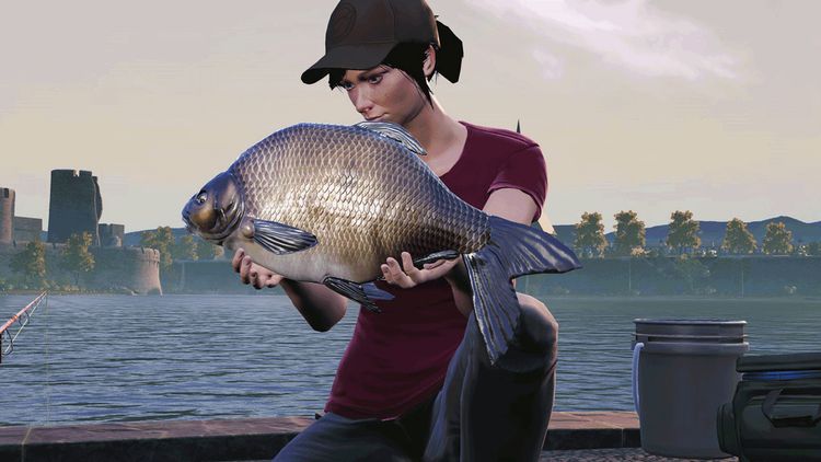 Euro Fishing - The Moat DLC Steam CD Key