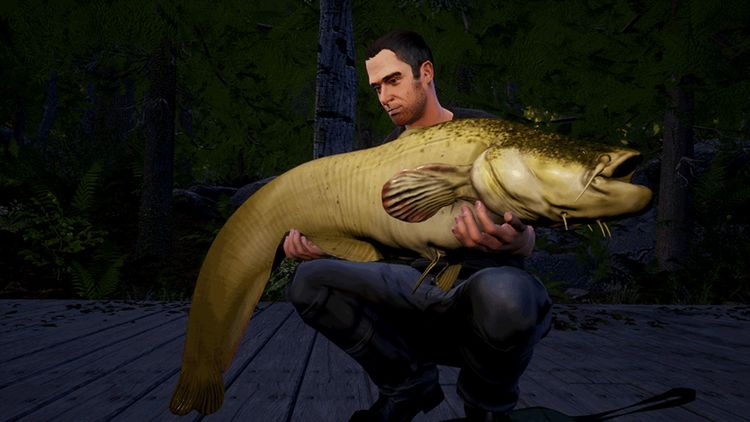 Euro Fishing - Waldsee DLC Steam CD Key