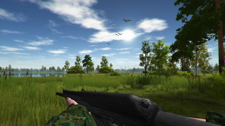 Duck Hunting Steam CD Key