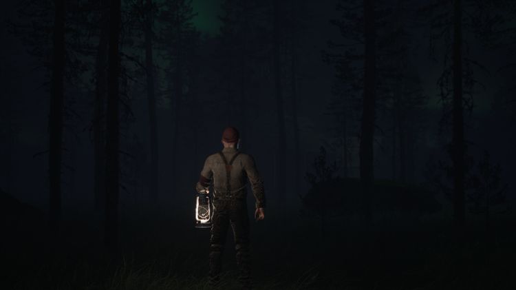 Reclusive Steam CD Key