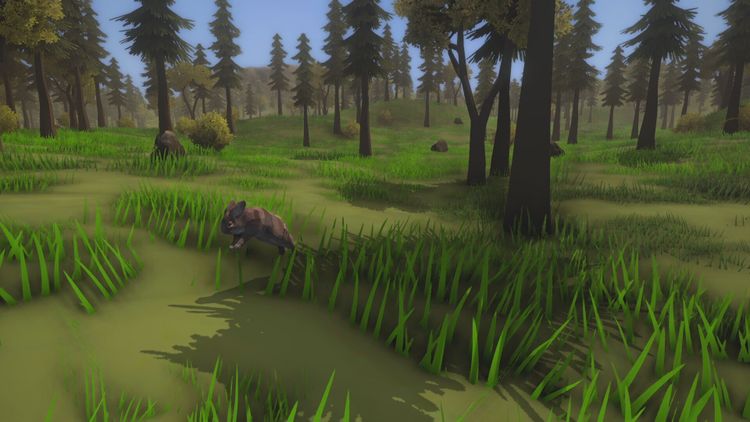 Wild Frontier Steam CD Key