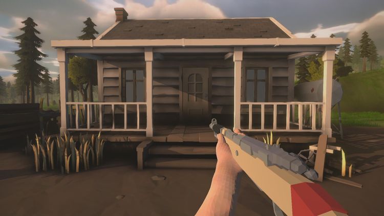 Wild Frontier Steam CD Key