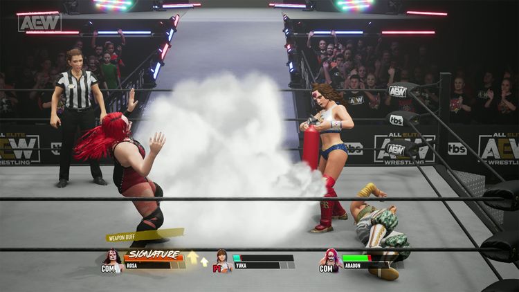 AEW: Fight Forever PS4/PS5 Account