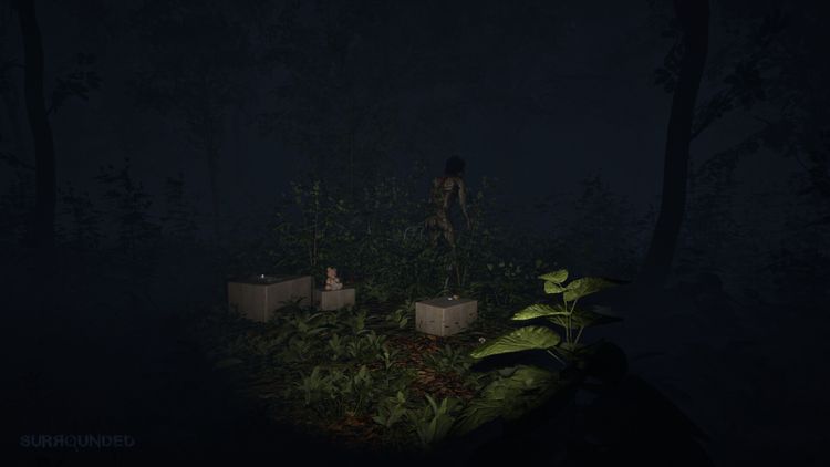 Surrounded Steam CD Key