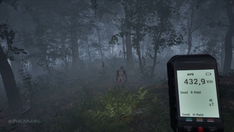 Surrounded Steam CD Key