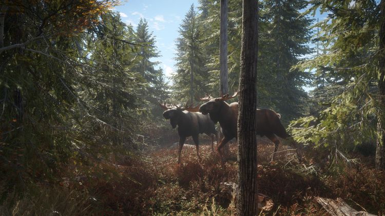 theHunter: Call of the Wild - Ultimate Starter Bundle Steam CD Key