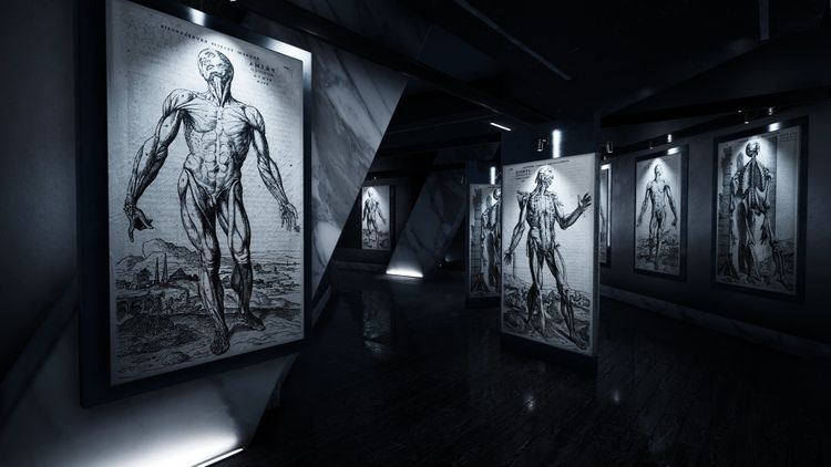 Trepang2: Deluxe Edition PC Steam CD Key