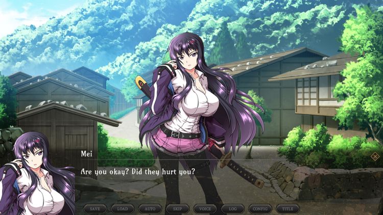 Samurai Vandalism PC Steam CD Key