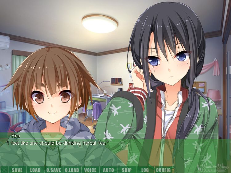 Wanting Wings Steam CD Key