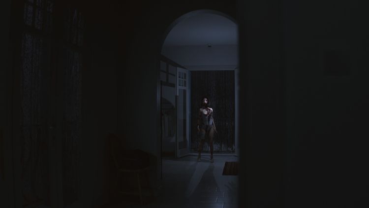 Supernormal EU Steam CD Key