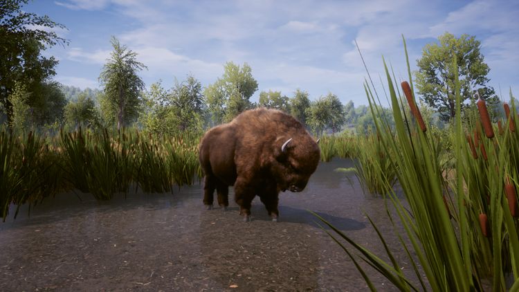 RimWorld & Medieval Dynasty Bundle Steam CD Key