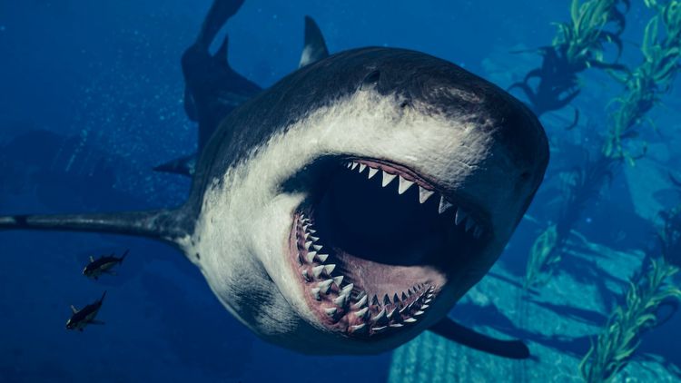 Jurassic World Evolution 2 - Park Managers' Collection Pack DLC PC Steam CD Key