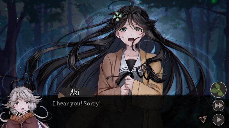 Graces: Posthumous Wish PC Steam CD Key