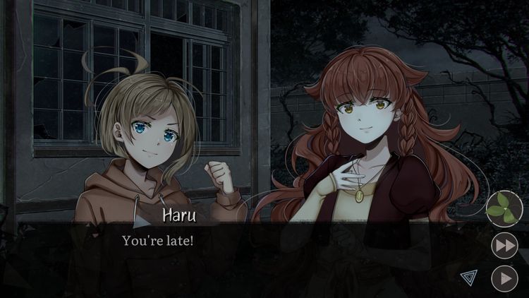 Graces: Posthumous Wish PC Steam CD Key