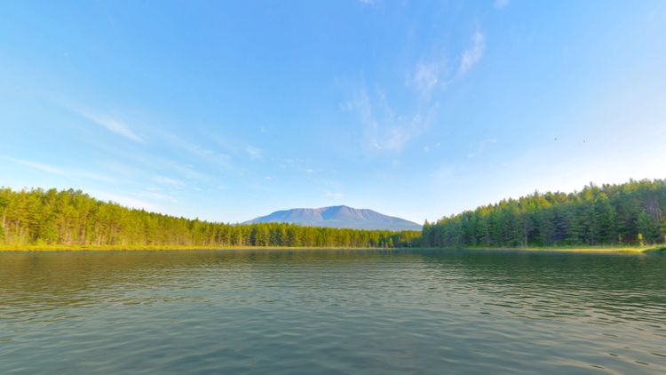 Real VR Fishing - US WEST COAST DLC PC Steam CD Key