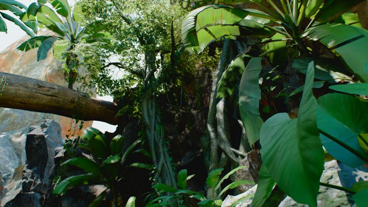 Evolve PC Steam CD Key