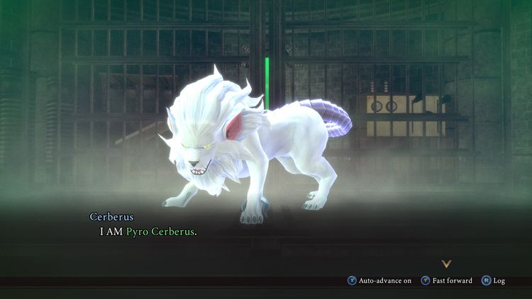 RAIDOU Remastered: The Mystery of the Soulless Army Nintendo Switch 2 Online Account Activation