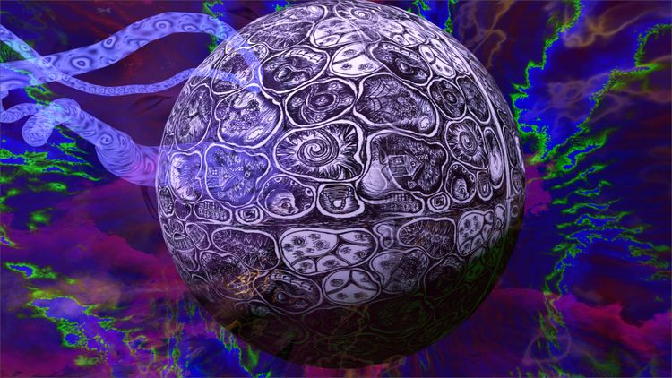 AnderKant 4 PC Steam CD Key