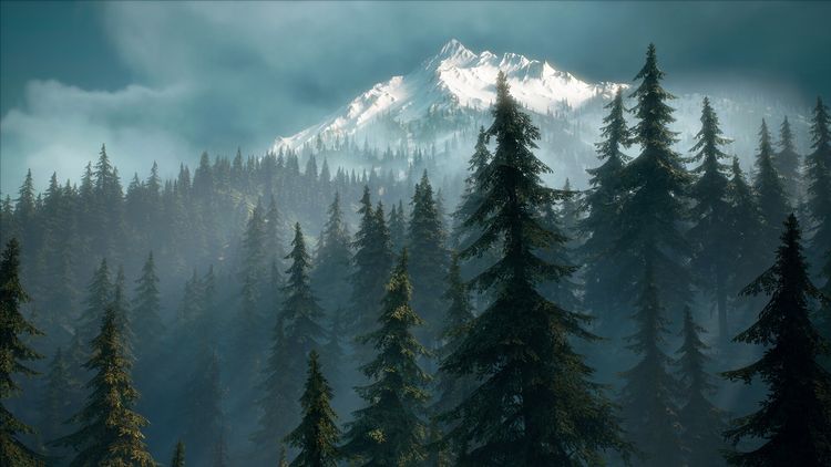 Days Gone - Broken Road DLC PC Steam CD Key